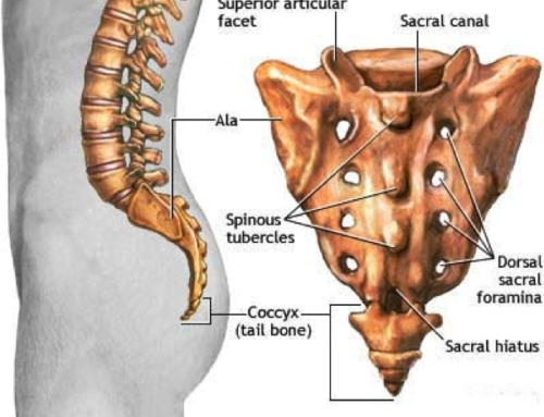 We Treat the Tailbone!