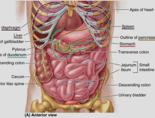 We Treat Abdominal Pain!